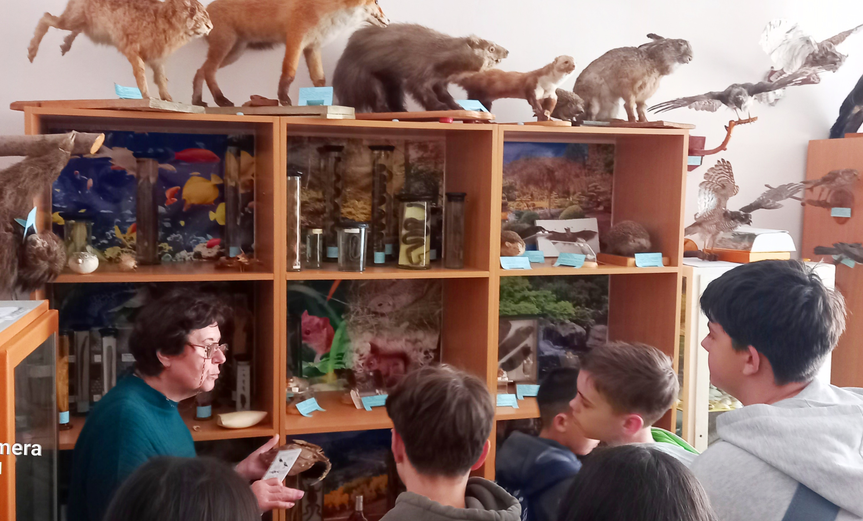 Доцент Любов Шевчик проводить екскурсію у зоологічному музеї